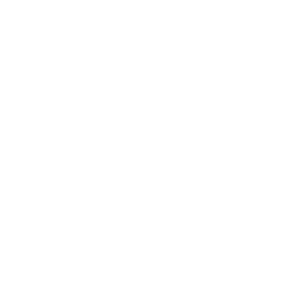 the big & bold boutique